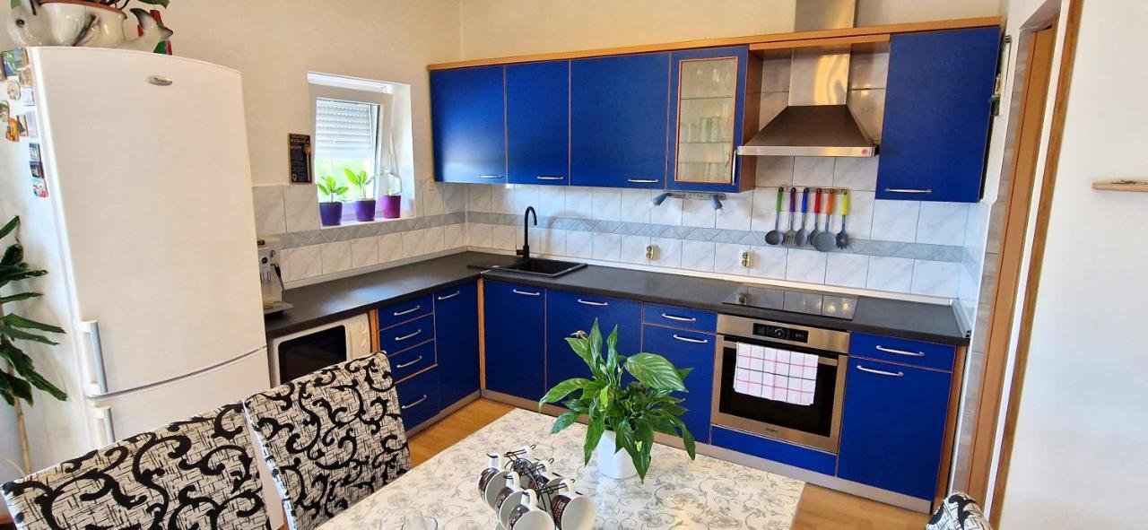 Apartments Pinezic Skrbčići 外观 照片